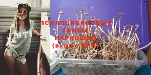 COCAINE Медногорск