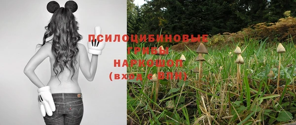 Альфа ПВП Медвежьегорск
